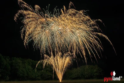 Pyroland Alpha Edison 25-Schuss-Feuerwerk-Batterie